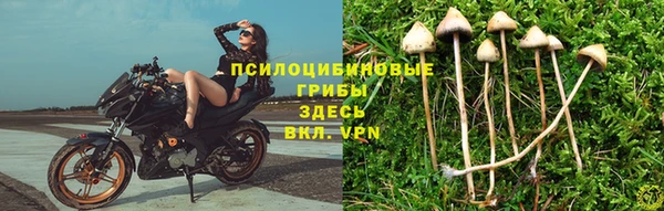спиды Белокуриха