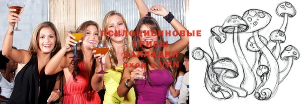 a pvp Беломорск
