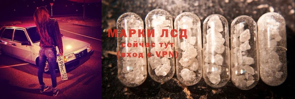 спиды Белокуриха