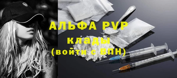 спиды Белокуриха