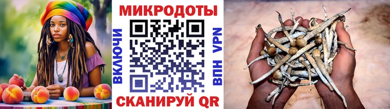 Галлюциногенные грибы прущие грибы  Купить где  Тейково 